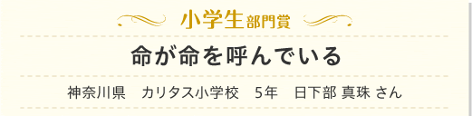 小学生部門命が命を呼んでいる　神奈川県　カリタス小学校　5年　日下部 真珠 さん