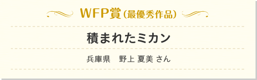 入賞作品発表 Wfpエッセイコンテスト14